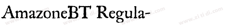 AmazoneBT Regula字体转换